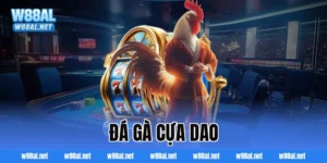 đá gà cựa dao